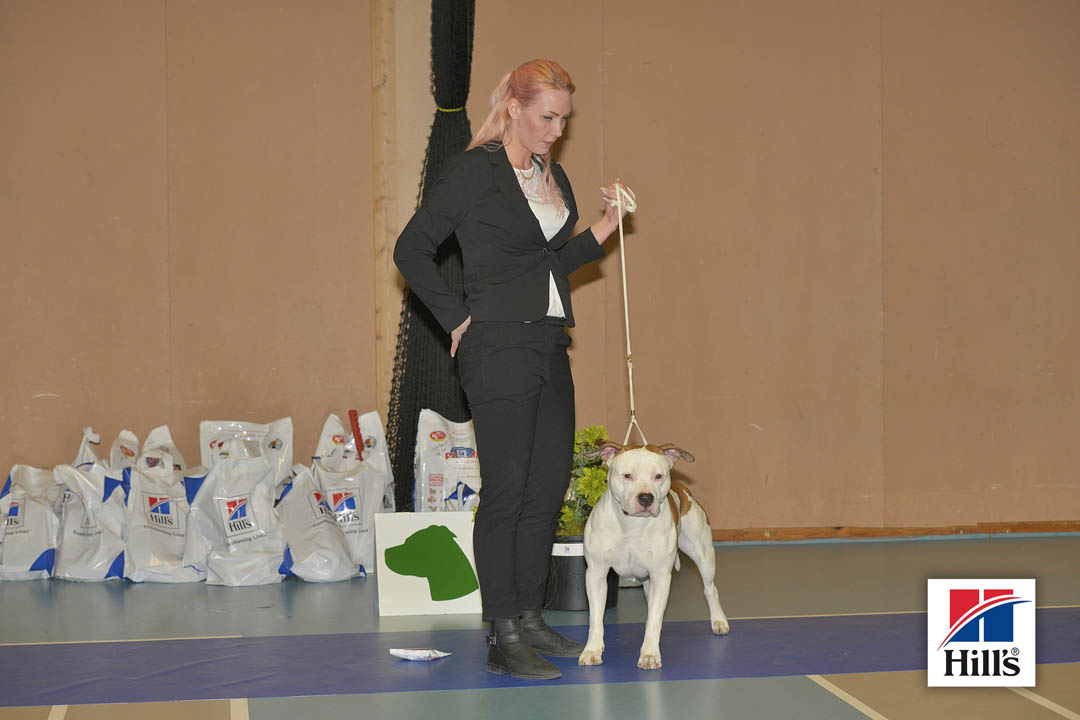 4:a plats: Zipreno Braveheart