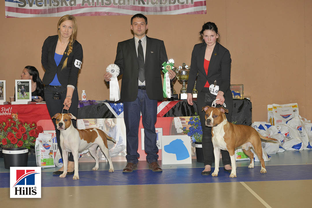BIS Junior och BIM Junior: Eywa Ring of Fire och Painted Ladie's Chili Flash Red