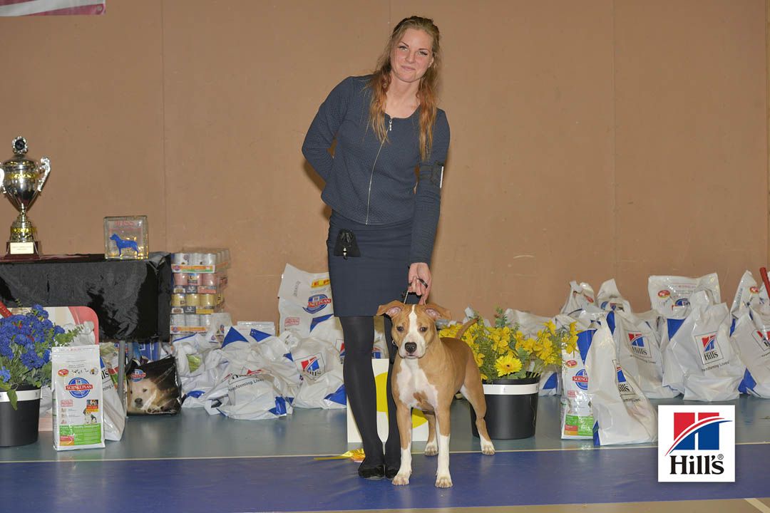 3:e plats: Zipreno Firework For Fanny