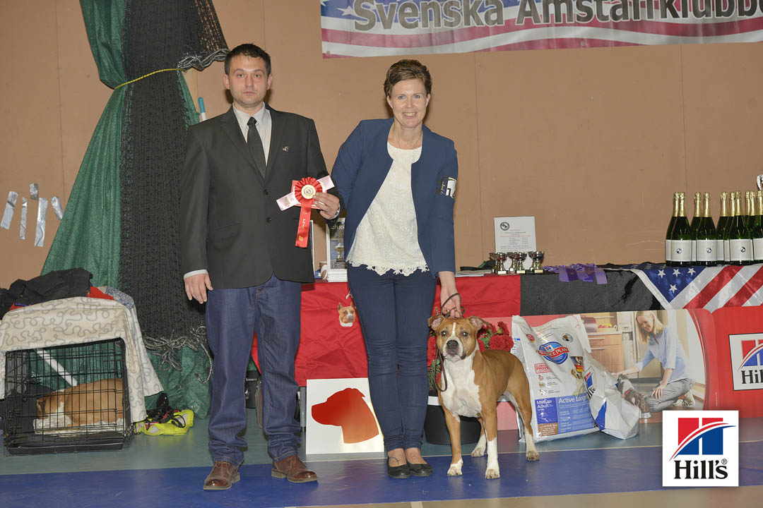 1:a plats med HP: Alvens Attans Amalia