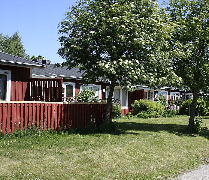 Harvens väg
